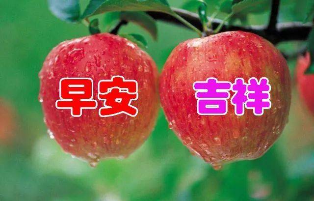 了;我想你了,我爱你了;看看东方,精神来了;迈开腿了,赴约去了;早安了