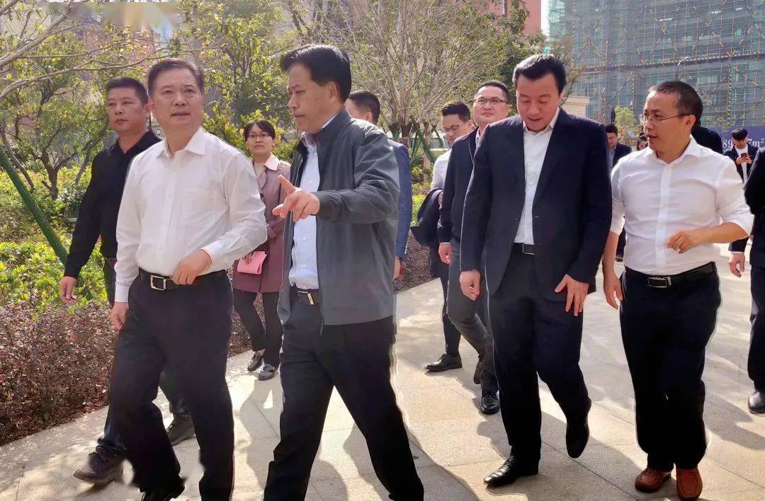 朱党其调研新湾强调要敢为人先争做样板奋力打造美丽精致的现代田园