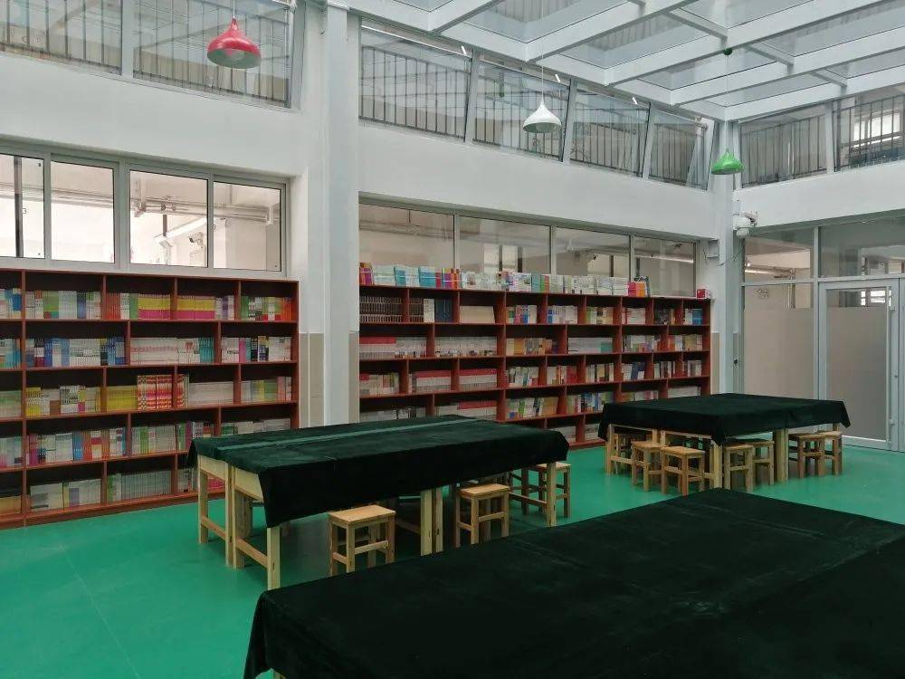 泰山区最美校园巡礼迎春花开香满园猜猜是哪所学校