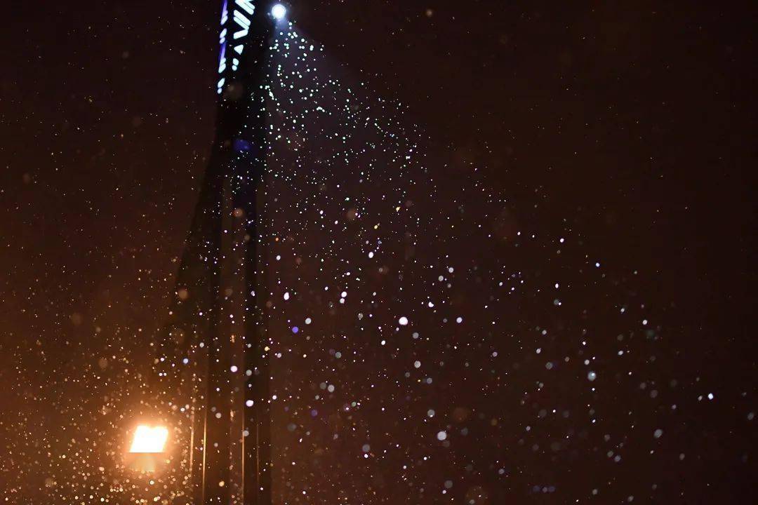 午夜首发!|| 飘雪东林夜,今朝庭散落