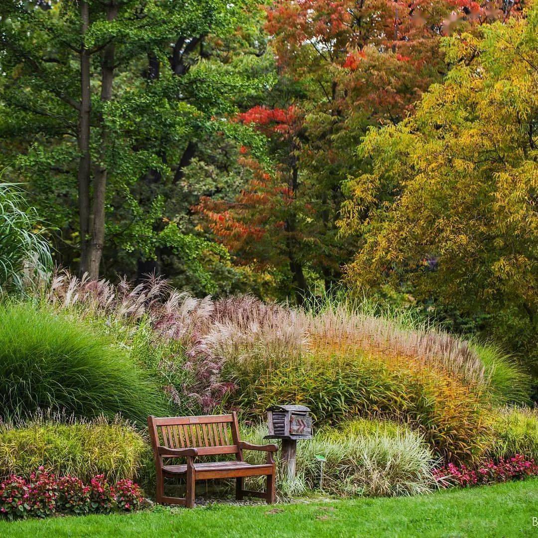 观赏草在小庭院中最常见的应用形式为与花卉配置形成花境.