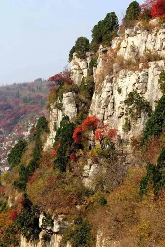 臨朐石門坊賞紅葉 老龍灣一日遊_風景區