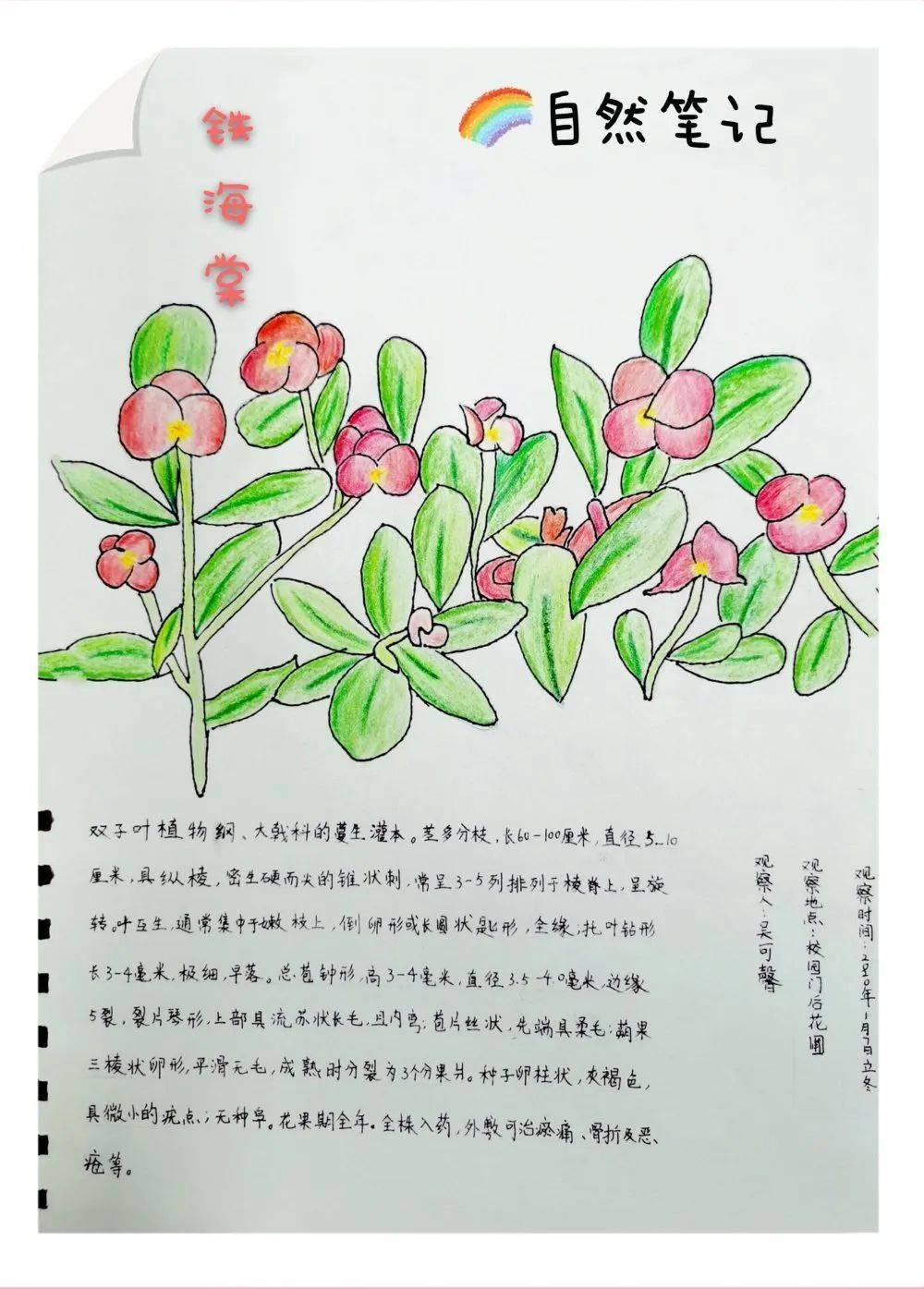 节气 | 今日立冬:万物始冬藏