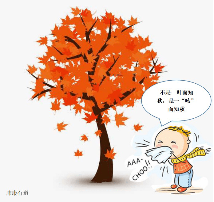 肺康有道 | 秋季燥邪来袭,肺康复教您如何养肺_手机搜狐网