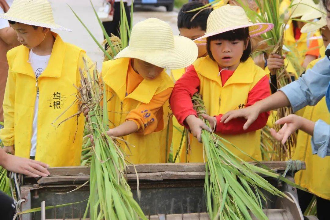 研学游走进乡村让课本知识活起来