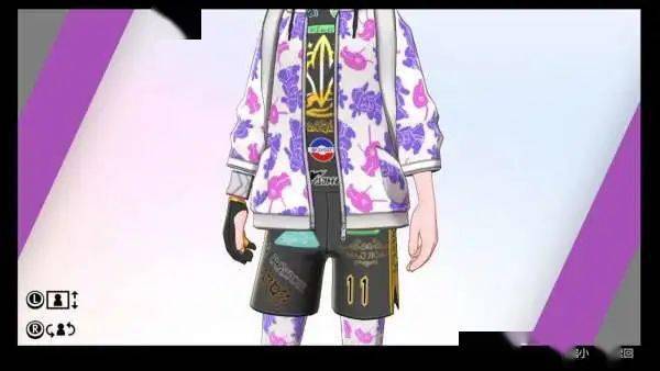 《宝可梦剑盾》冠之雪原 特殊服装获取方法一览