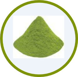 这种多糖,对南美白对虾免疫调节,有大作用!