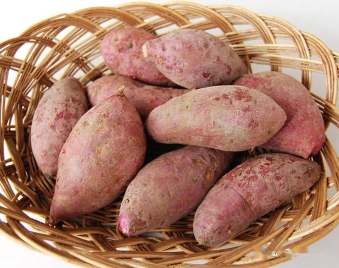 秋天丰收季薯趣知多少