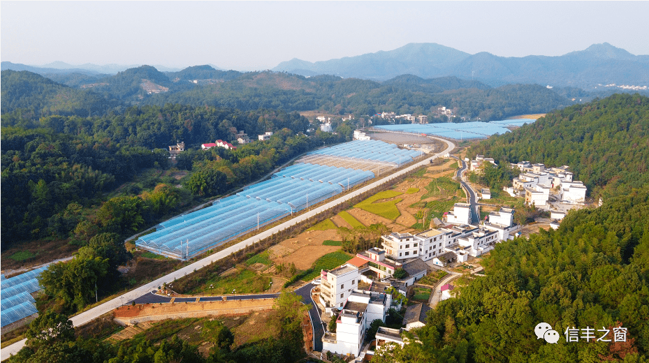 封闭落后?信丰这个小山村正悄然"逆袭突围"