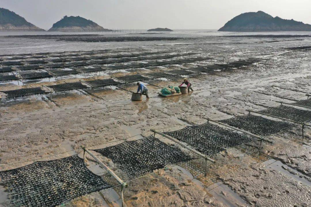 这样的滩涂风景,你见过吗?