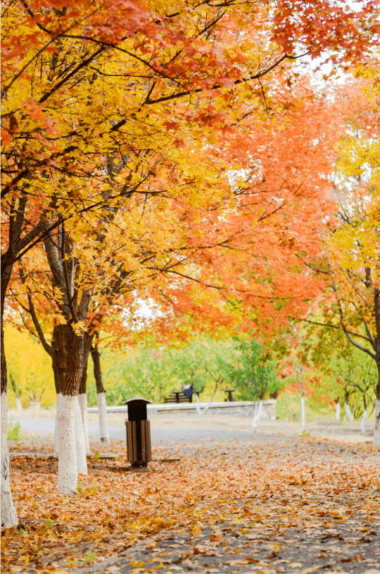 我眼中的大美房山随手拍作品展二十四