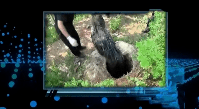 曲靖女子杀死丈夫,将尸体用油纸包裹藏于水窖.