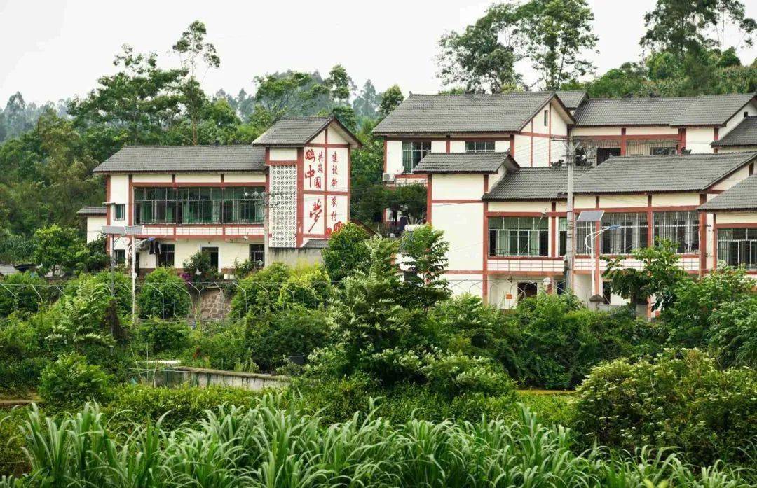 重庆市脱贫攻坚摄影作品选七