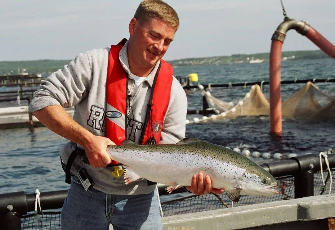 "2020加拿大海产高峰论坛" 今日沪上举行_渔业