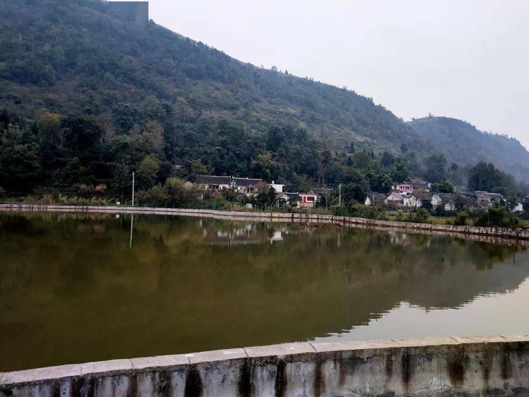 黄泥塘镇:笑了乐了,合作社发工资了!