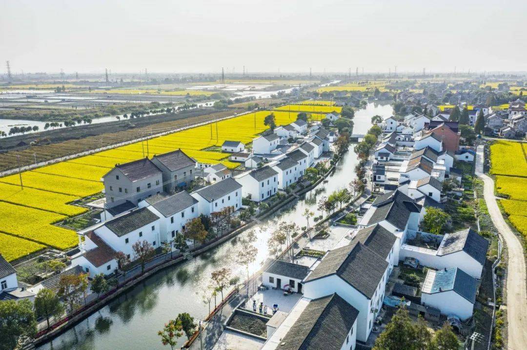 用镜头看变化嘉善发布五周年线下活动走进西塘