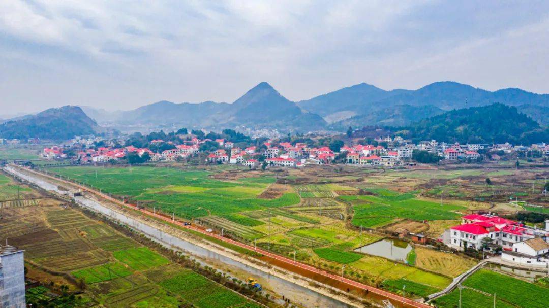 新跨越福田镇蹄疾步稳谋发展乘风破浪踏新征