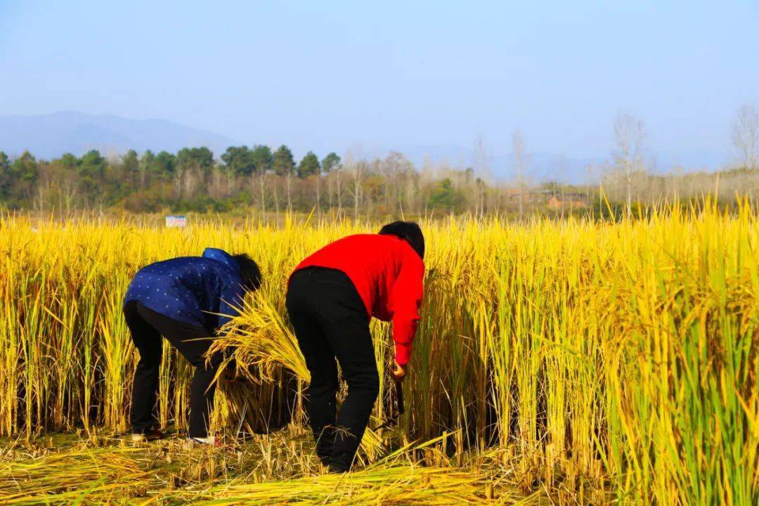 孙家大院喊你来吃吊锅饭啦