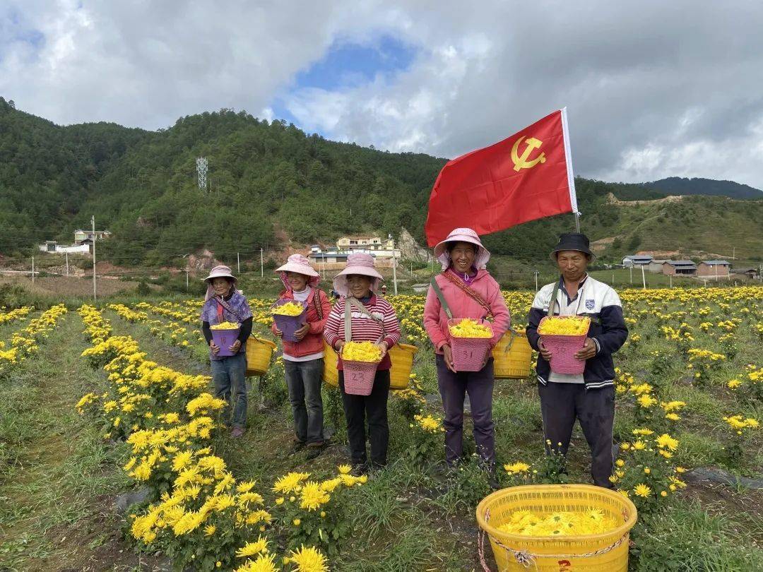 怒江州统筹推进"三个组织化"巩固提升脱贫攻坚质效 组织有保障