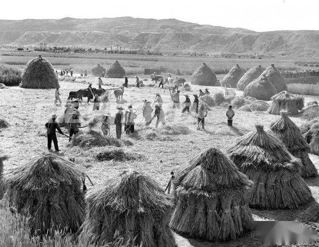 临夏老照片大合集!河州人共同的历史记忆和家国情怀!
