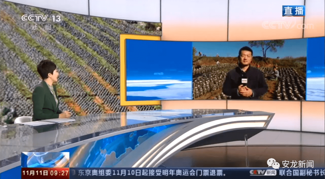 央视新闻频道《新闻直播间》,财经频道《正点财经》,以现场连线直播的