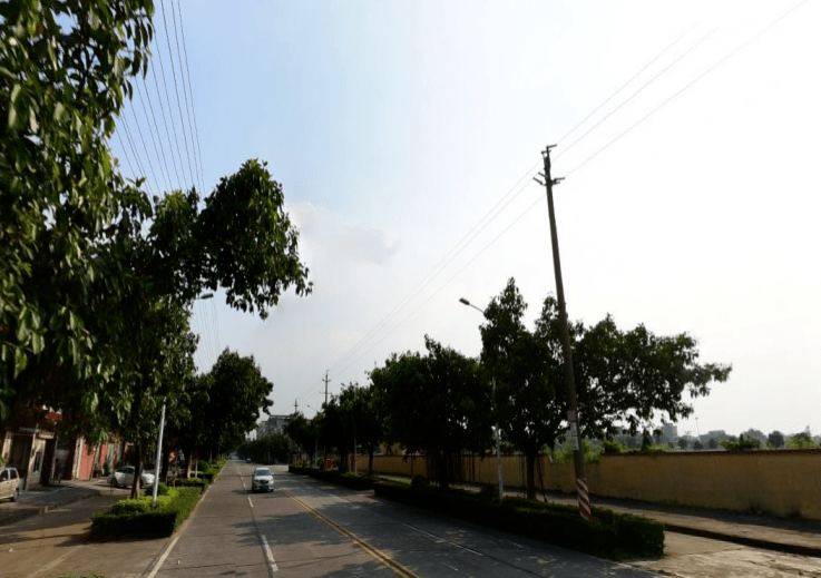 "道路丨李横大道升级改造(石排石崇大道)