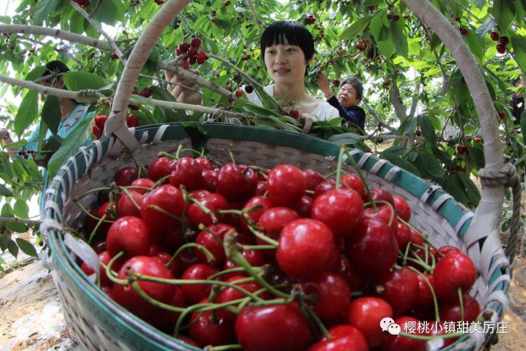 近年来,赣榆区厉庄镇按照区委"打基础,立长远"的工作要求,着力"重整