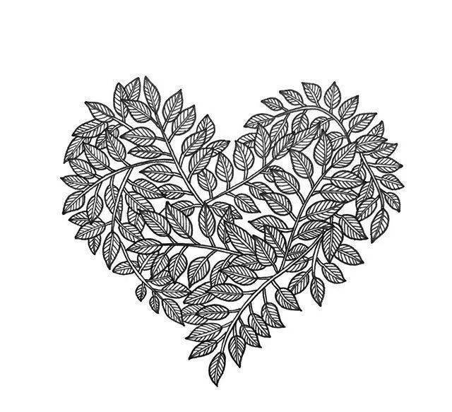 线描的表现力富于装饰感的爱心线描