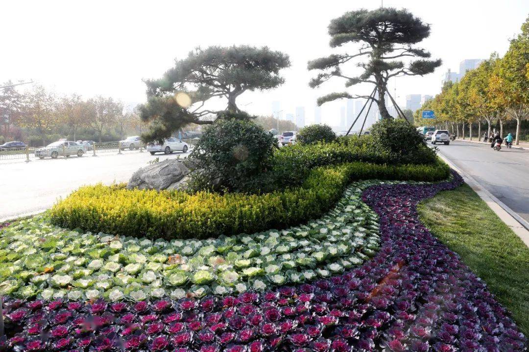 【醉美历下】历下打造精致景观 让冬季城区"春意"常在
