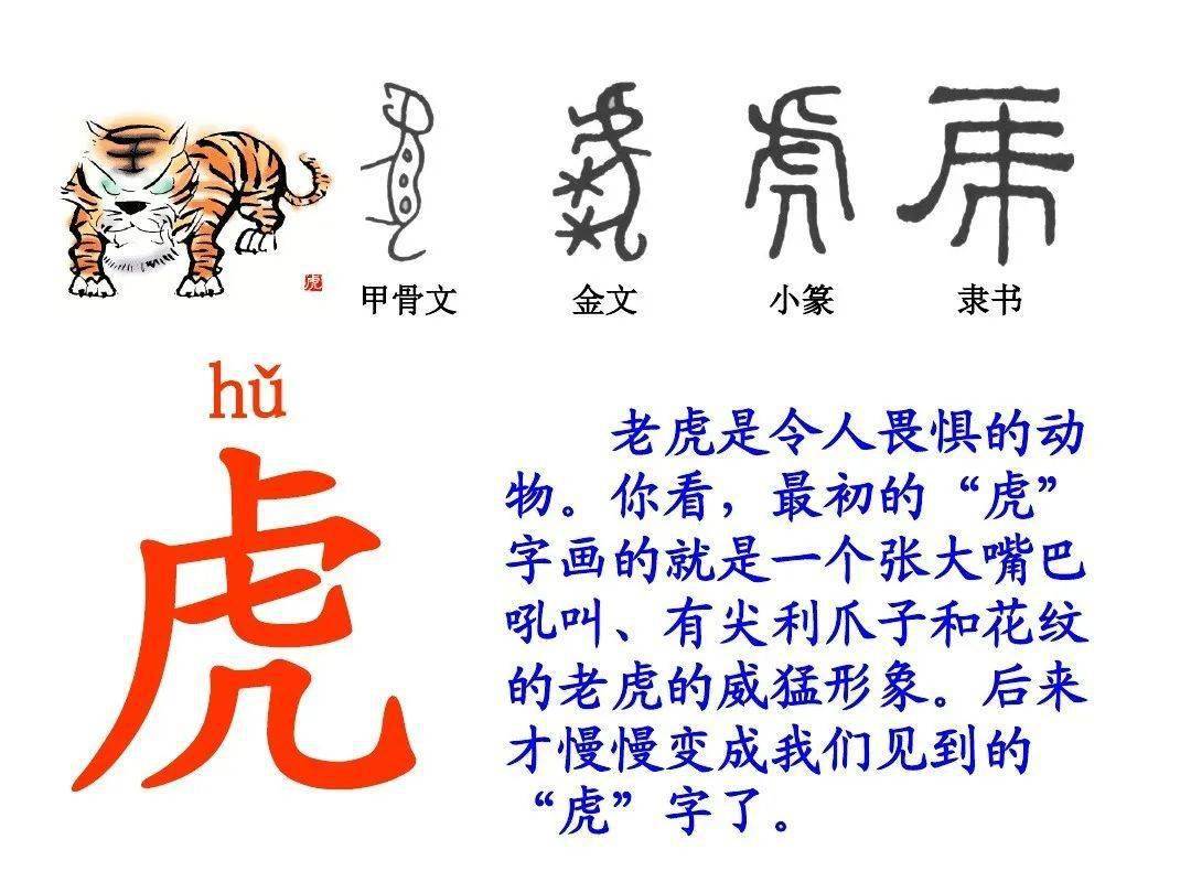 虎的字体演变图片