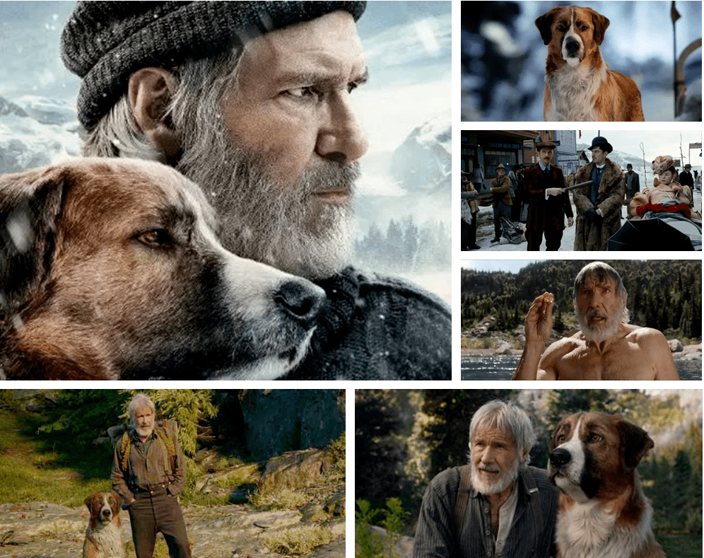 这部刷屏的年度佳片野性的呼唤终于可以看了