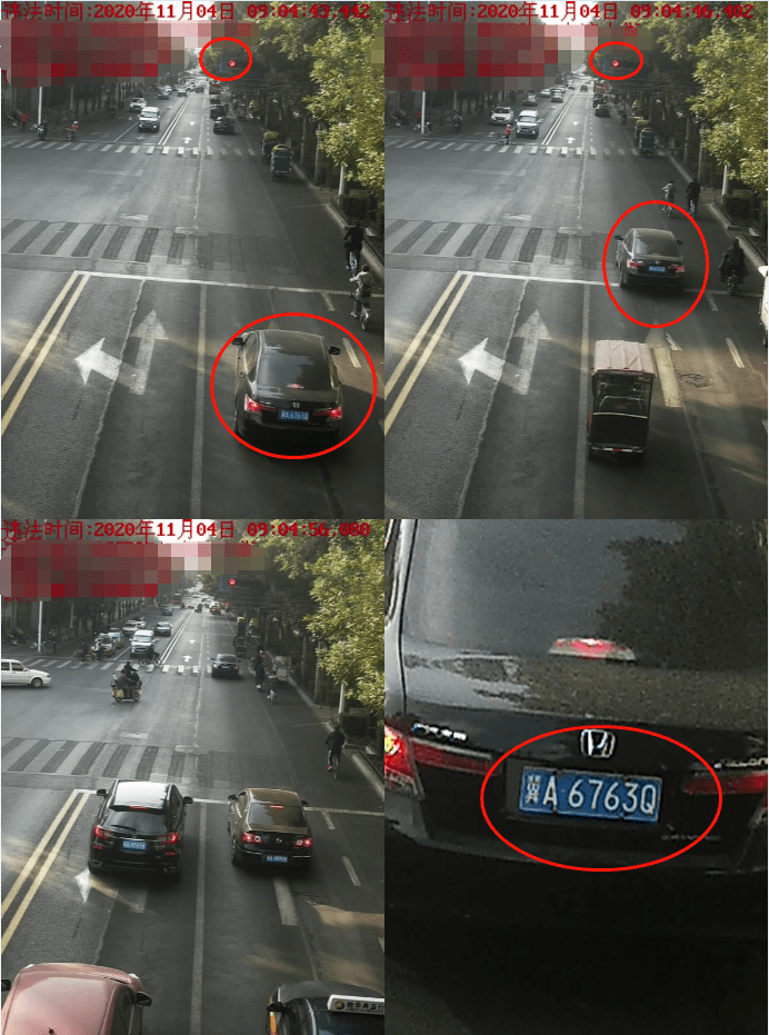 高清违章车辆照片看看都有谁