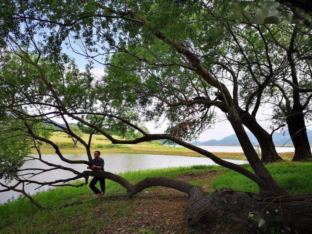 岱衝湖坡上村79青龍驛天然氧吧,中國樅陽好山好水,等你來