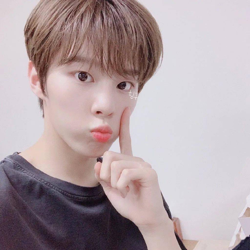 微信头像金宇硕