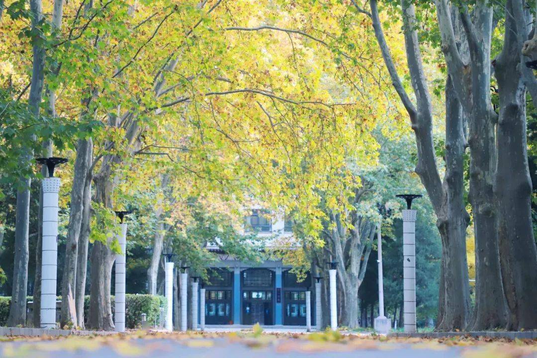 喜欢秋天的北航更喜欢你北航校园摄影指南内附抽奖彩蛋