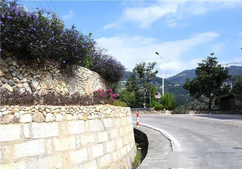 县领导一行实地察看了白沙镇联坑村,大目溪村,环镇路项目等地,详细