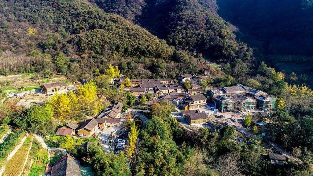 拈花谷又火了_手机搜狐网