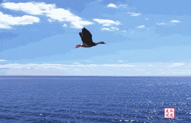 640_413gif 动态图 动图