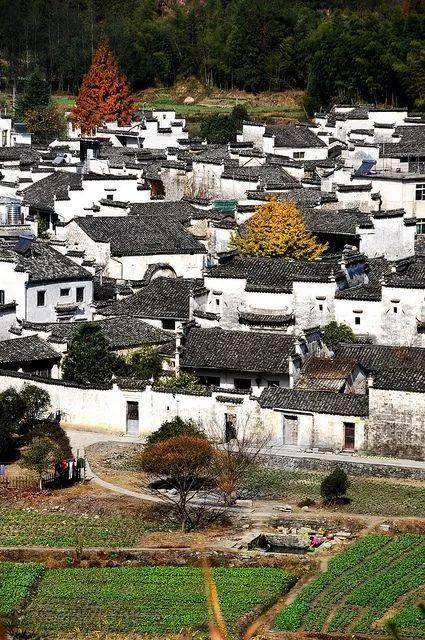 太惊艳了!_南古镇