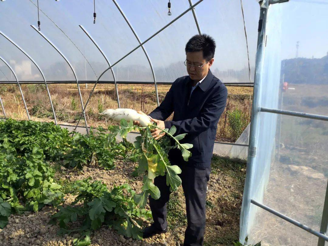 陈鹏辉调研脱贫攻坚工作