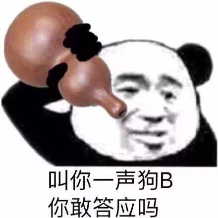 熊貓頭表情包i輸完密碼就是自己人了