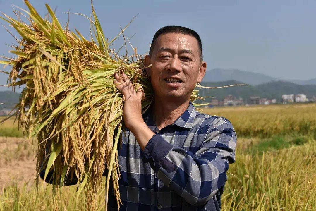 脱贫攻坚成效认证笑脸脱贫攻坚近收官干部群众展笑颜