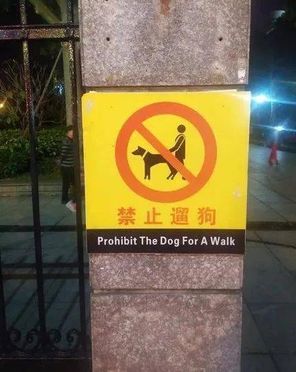 云南威信县禁止城区遛狗发现违反三次狗就被捕杀大家懵了