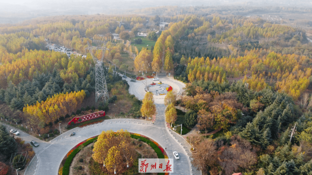 太美鄭州樹木園初冬景迷人