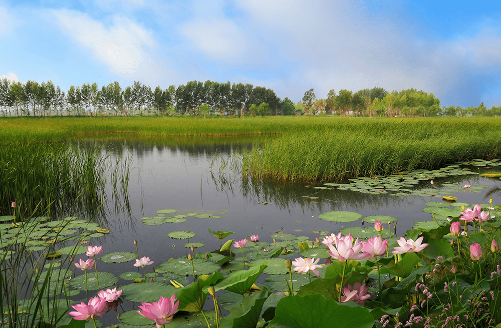 光影中的魅力肇源丨王金山摄影篇五