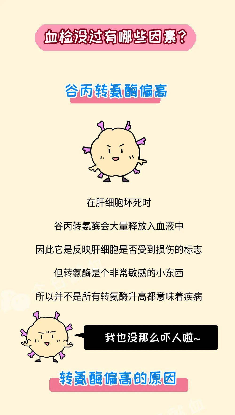 一图看懂,血检报告的那些事儿~_血液