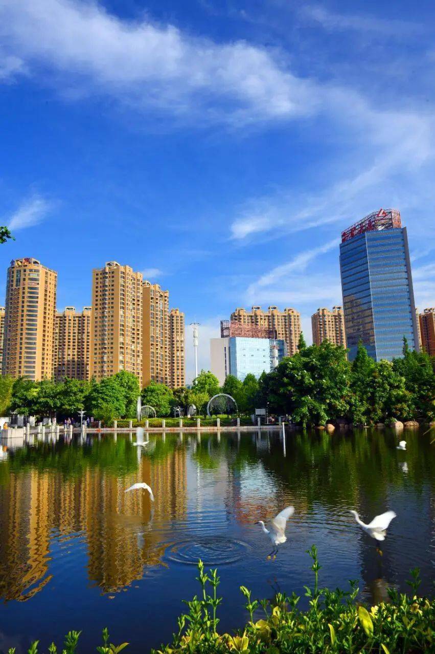 健康宜居城,生态园林城,推进新型智慧化城市建设,为玉溪打造云南数字