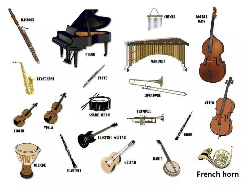 所有常见乐器的中英文对照
