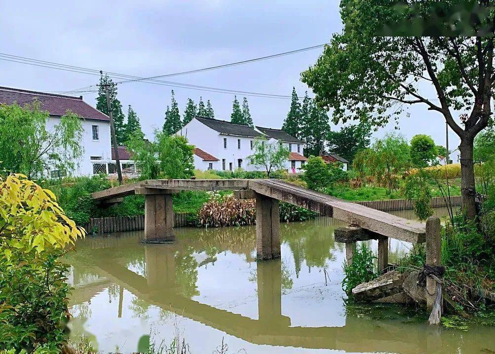 四团镇大桥村奏响乡村振兴进行曲快来感受江南古韵与新时代碰撞出的