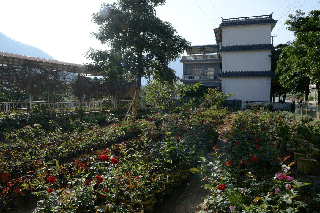 《临沧乡村旅游攻略》云县漫湾镇——昔宜村 大村自然村